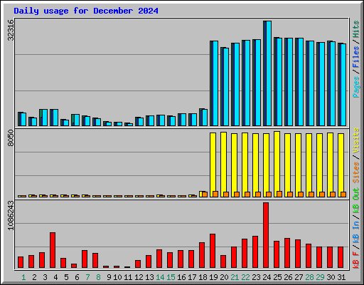 Daily usage for December 2024