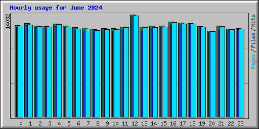 Hourly usage for June 2024