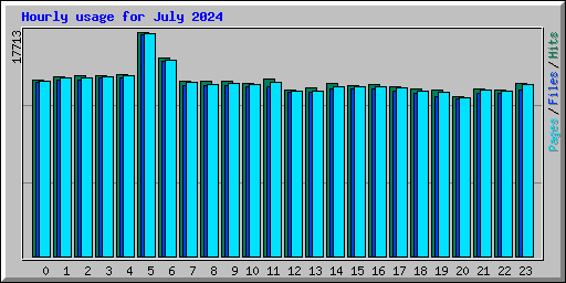 Hourly usage for July 2024