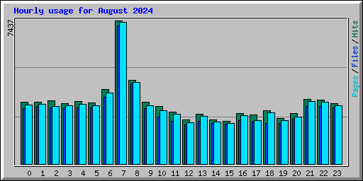 Hourly usage for August 2024