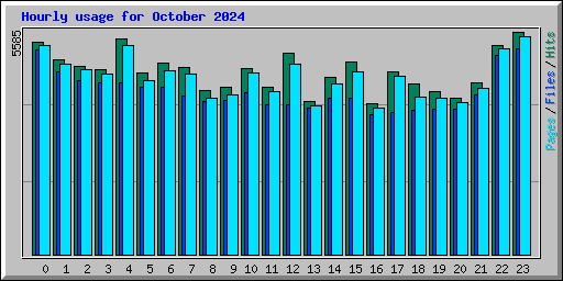 Hourly usage for October 2024