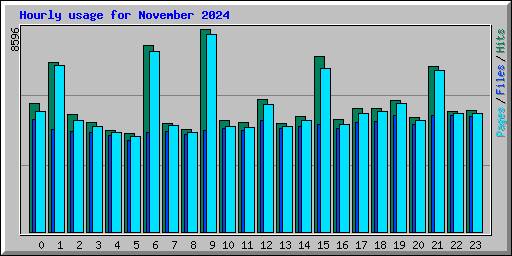 Hourly usage for November 2024