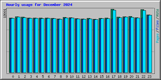 Hourly usage for December 2024